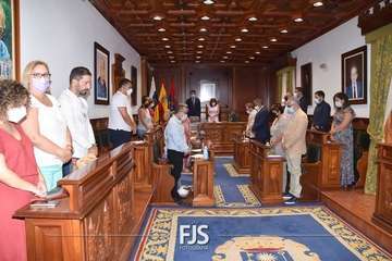 Pleno ordinario de julio de 2022/Francisco Javier Santana.